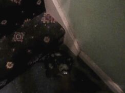 Bottom of Stairs Piss