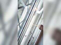 Piss Out of the Window