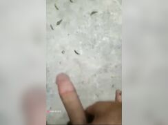 he taste the summer, BLAZING ARAB