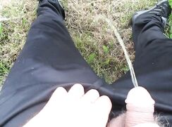 Piss at the Park