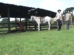 Indoors or Outdoors?