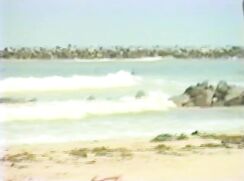 From Beach to Bed Classic Gay