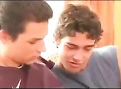 Euro Brothers get nast gay porn videos