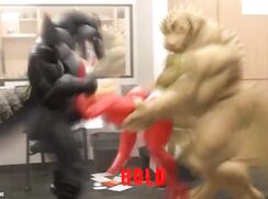 Poppers Trainer • Furry Beast