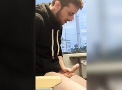[Twit] [209] Jerking off in the train again