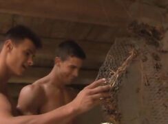 Arte BelAmi Boys ❤️ Kris And Andrei