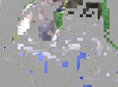 Naughty Lads wrestle at Fair