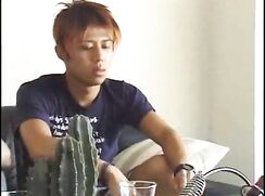 Milking The Boys Twinks Porn