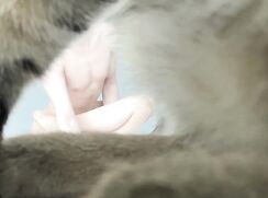 Boy is fun to play with, WEB STR8 BOY