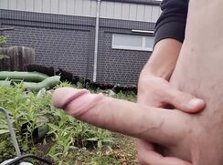 [ABX][3][214] - Big cock outdoor cumshot