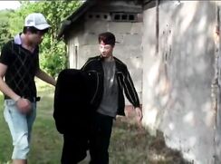 they do it in the stable