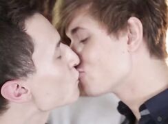 Stable Floor Bareback Trio