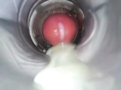 Dnz fleshlight thrill cam