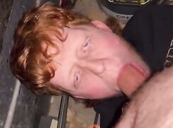 Thomas Paxton Ginger Cocksucker DM123