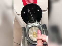 Train toilet tagging - again...