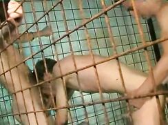 Let's Share A Boy In A Cage