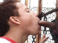 Jeunes twinks baisant au calme sur la terrasse