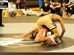 Two Boys In Swimsuits Sexy Wrestling