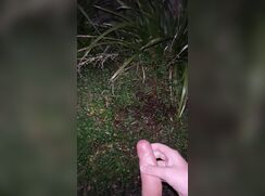 [Twit] [442] Does this help the plants grow