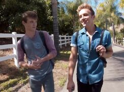 When palm trees border the street gay porn videos