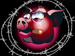 Bull and a boy gay porn videos