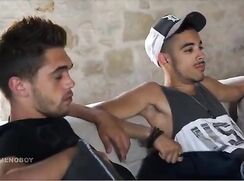 Among The Sunflowers...