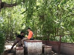 Raw Sex In The Spring Sun  HB