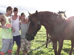 ♥ Jambo africa X ♥