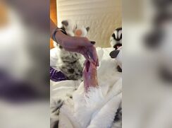 Furry With Split Dick Gets Urethra Fingered