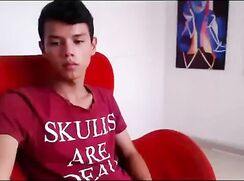 A beautiful boy masturbates in the living room porn