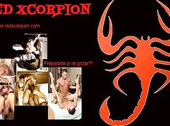 Latinos! Classic Film Gay Porn Videos