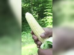 ฝักข้าวโพดพาเสียว