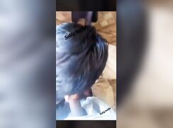 pakistani Boy with older friend