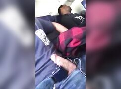 Gray; Risky wank on the airplane