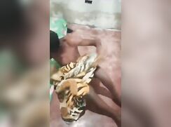 Caught with the hose still connected