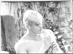 AMG Jim Horn - Vintage Gay Porn Videos