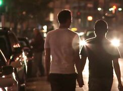 Rubax Video - Fruit Fly (2009)