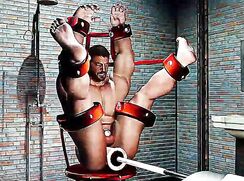 Ass training submission