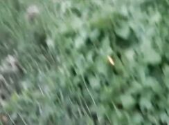 Billy fait une fellation à Joey en extérieur