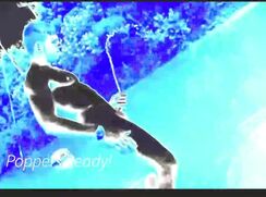 Poppers Trainer • Badguy Popperbate