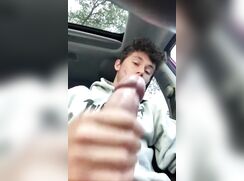 cute american brunette cumming on his car