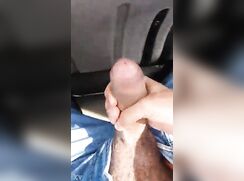 Dnz thick dick bus wank