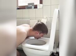 Twink cleaning the toilets