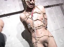 BDSM Asia II *Nicer*