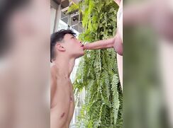 Kaucobra on AquilesTwink