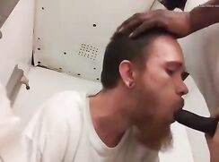 Jailed blowjob jailed fuck