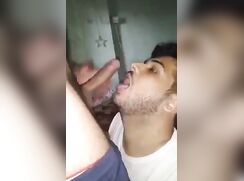 My Friend Drink my spam