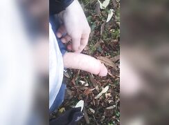 [ABX][My Archive][0175] Wanking in the woods