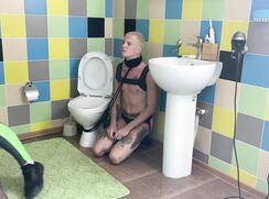 Falcon Al Twink I *Nicer*