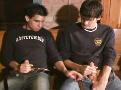 [MOVIE][HB-USA][002] Aden and Ashton